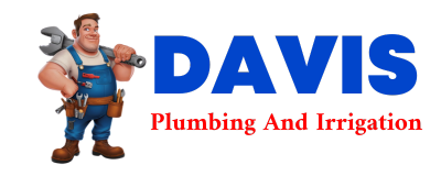 Trusted plumber in REESVILLE